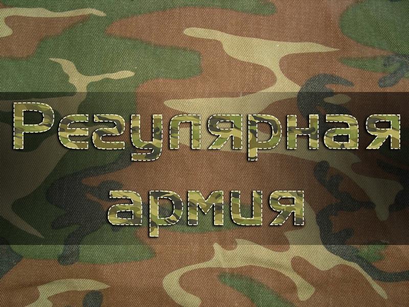Регулярная армия (reguljarnaja-armija) Документальный фильм