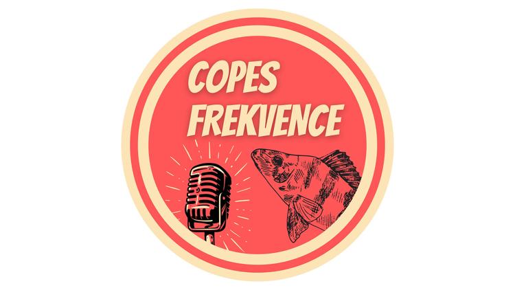 Постер Copes Frekvence