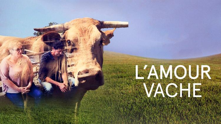 Постер L'amour vache