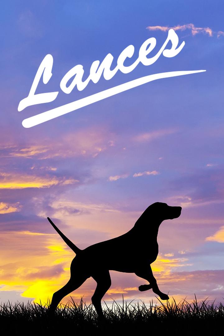 Lances (lances) Досуг, хобби