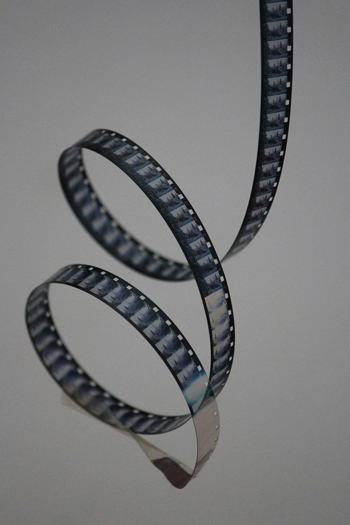 Սեւ շունը նախազգուշացնող հարված Досуг, хобби