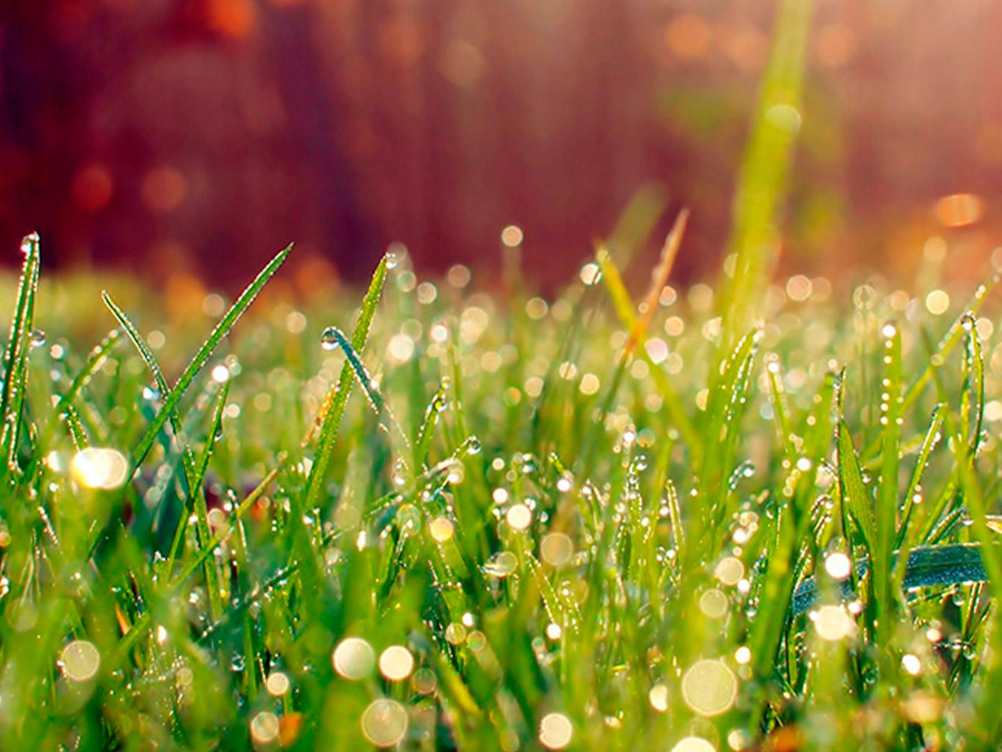 Путь Аввакума (put-avvakuma) Документальный фильм