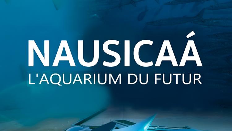 Постер Nausicaá - Aquarium der Zukunft