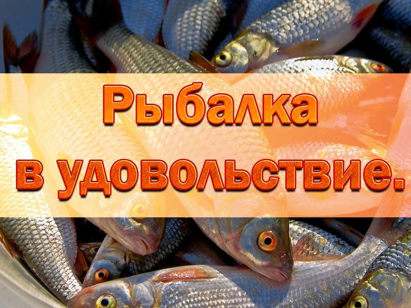 Рыбалка в удовольствие (rybalka-v-udovolstvie) Досуг, хобби