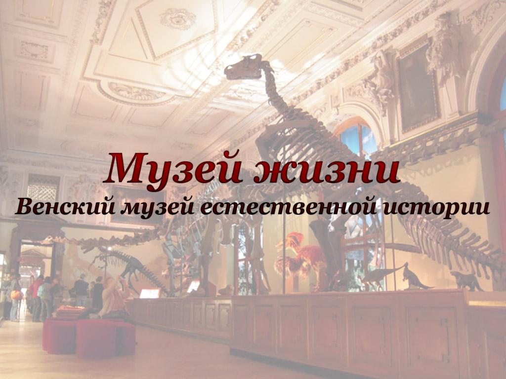 Музей жизни-Венский музей естественной истории (muzej-zhizni-venskij-muzej-estestvennoj-istorii) Познавательное