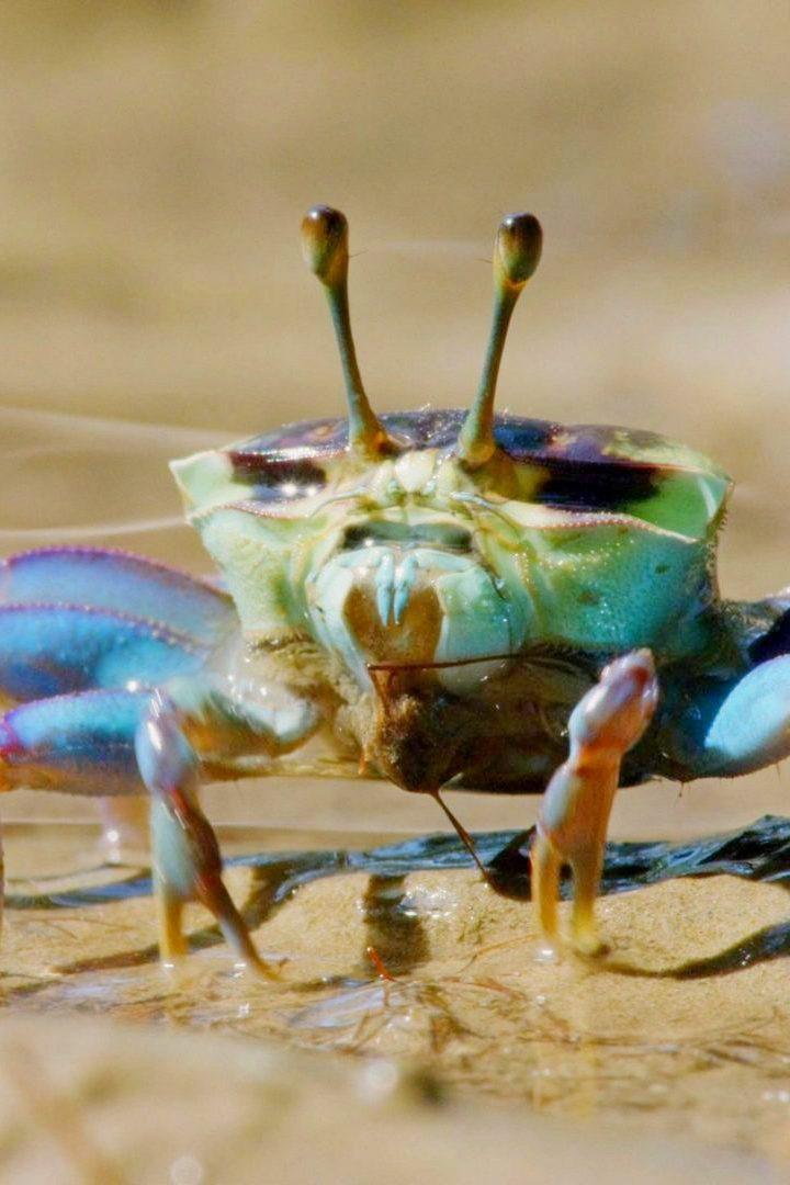 What a Colourful World (what-a-colourful-world) Познавательное