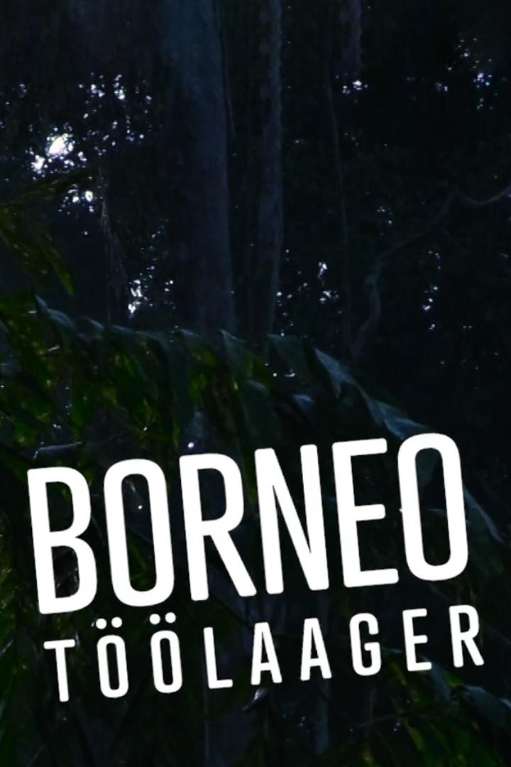 Borneo töölaager (borneo-tlaager) Досуг, хобби