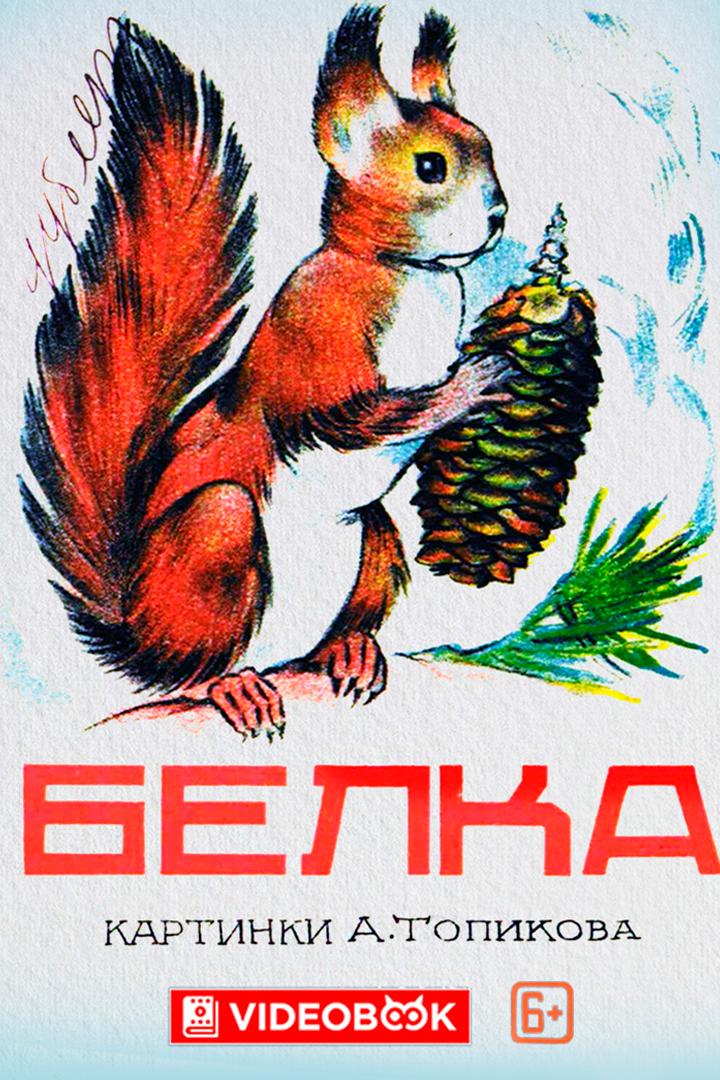 Белка (belka) Досуг, хобби