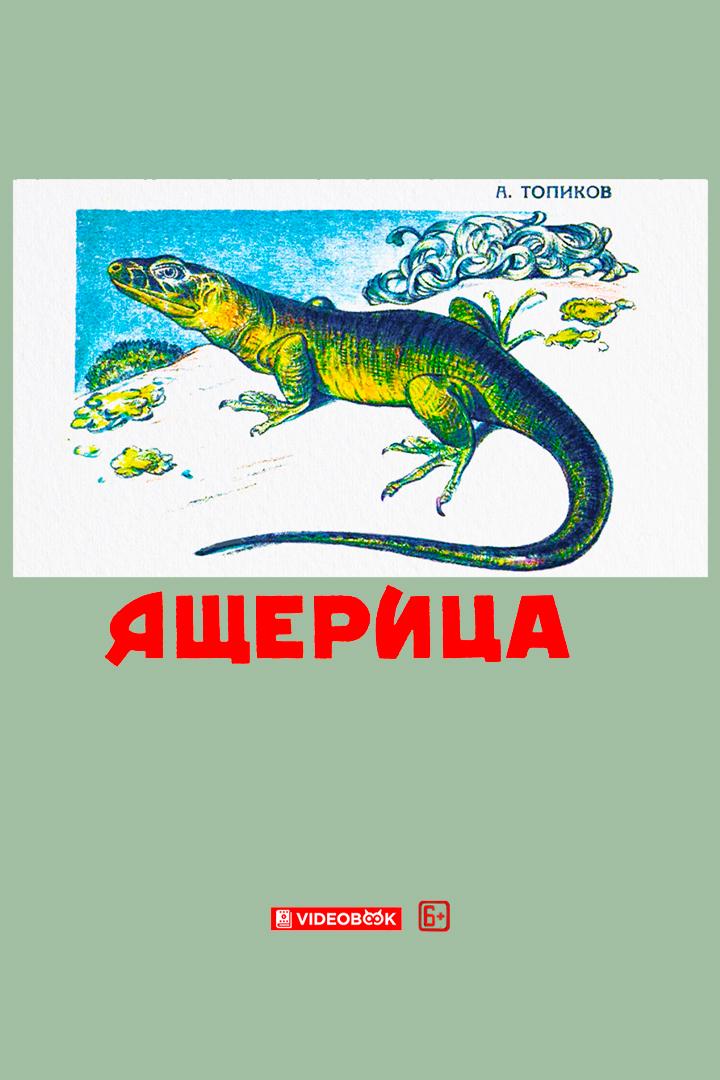 Ящерица (jascheritsa) Досуг, хобби
