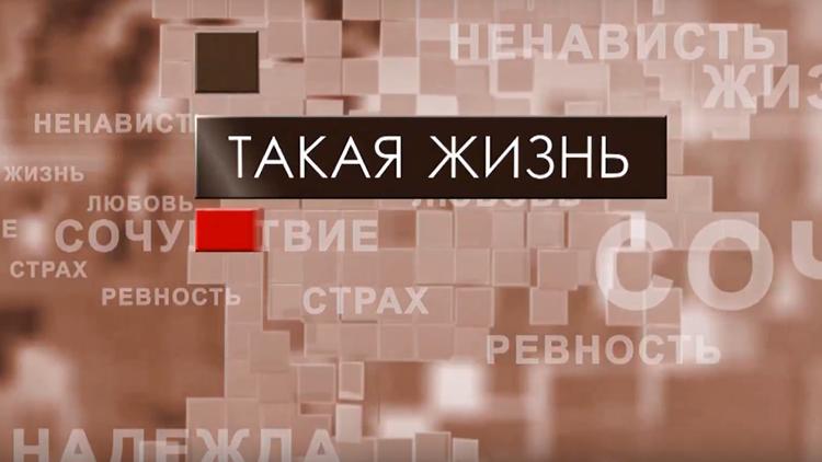 Постер Такая жизнь