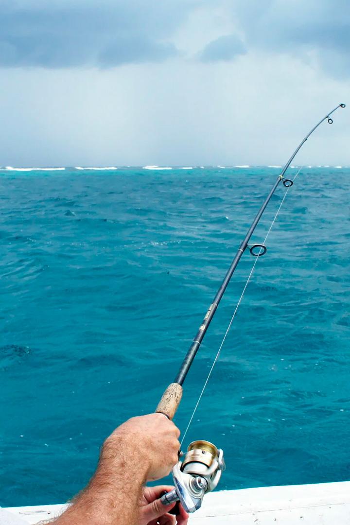 Рыбалка на горных реках Турции (rybalka-na-gornyh-rekah-turtsii) Досуг, хобби