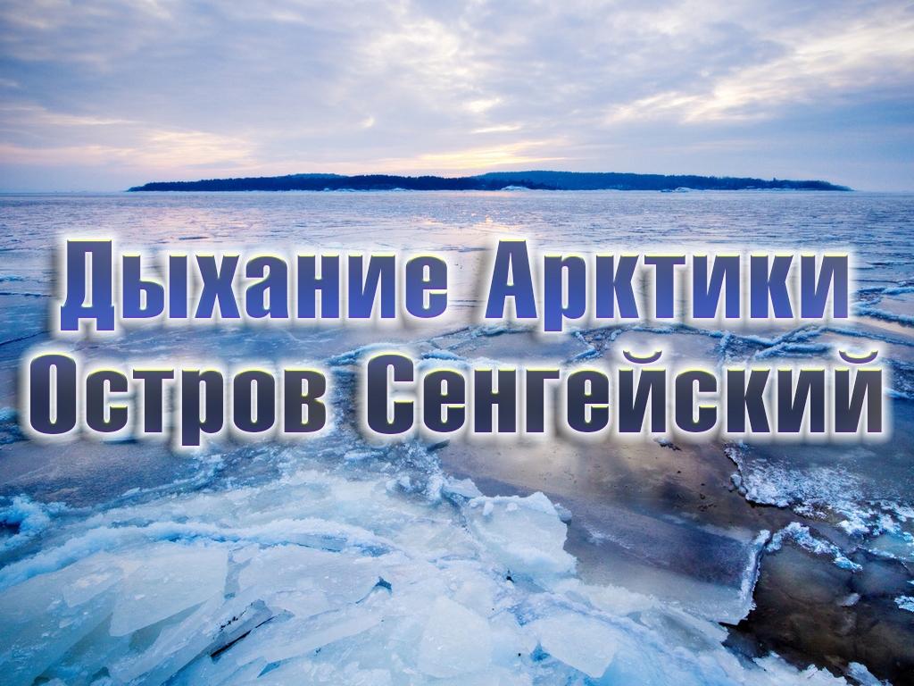Дыхание Арктики. Остров Сенгейский (dyhanie-arktiki-ostrov-sengejskij) Познавательное