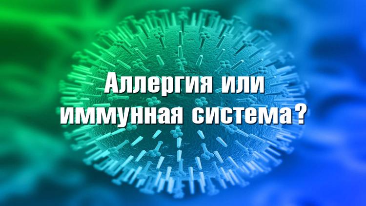 Постер Аллергия или иммунная система?