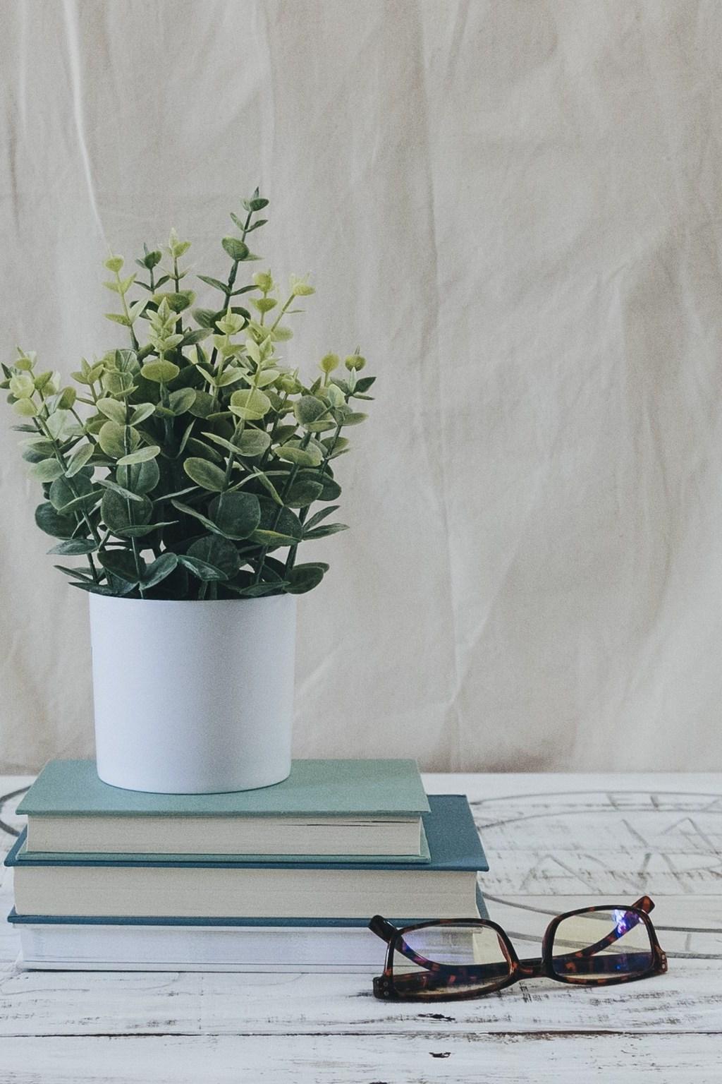 Диваки природи (divaki-prirodi) Досуг, хобби