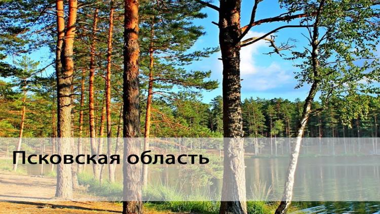 Постер Псковская область