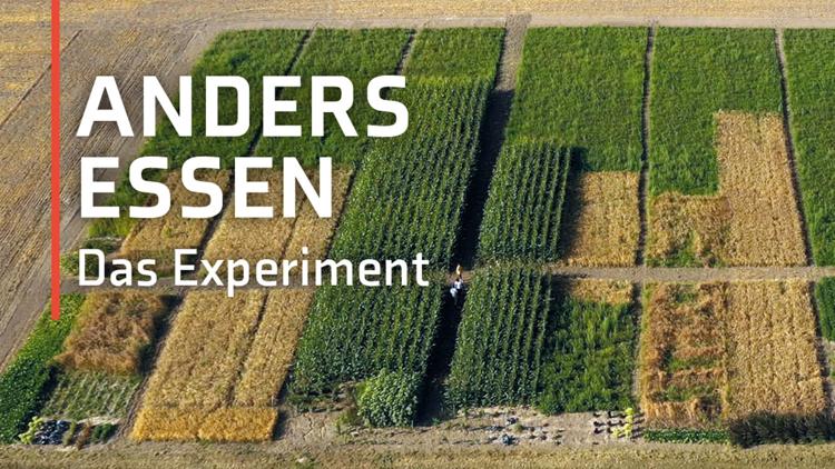 Постер Anders essen — Das Experiment