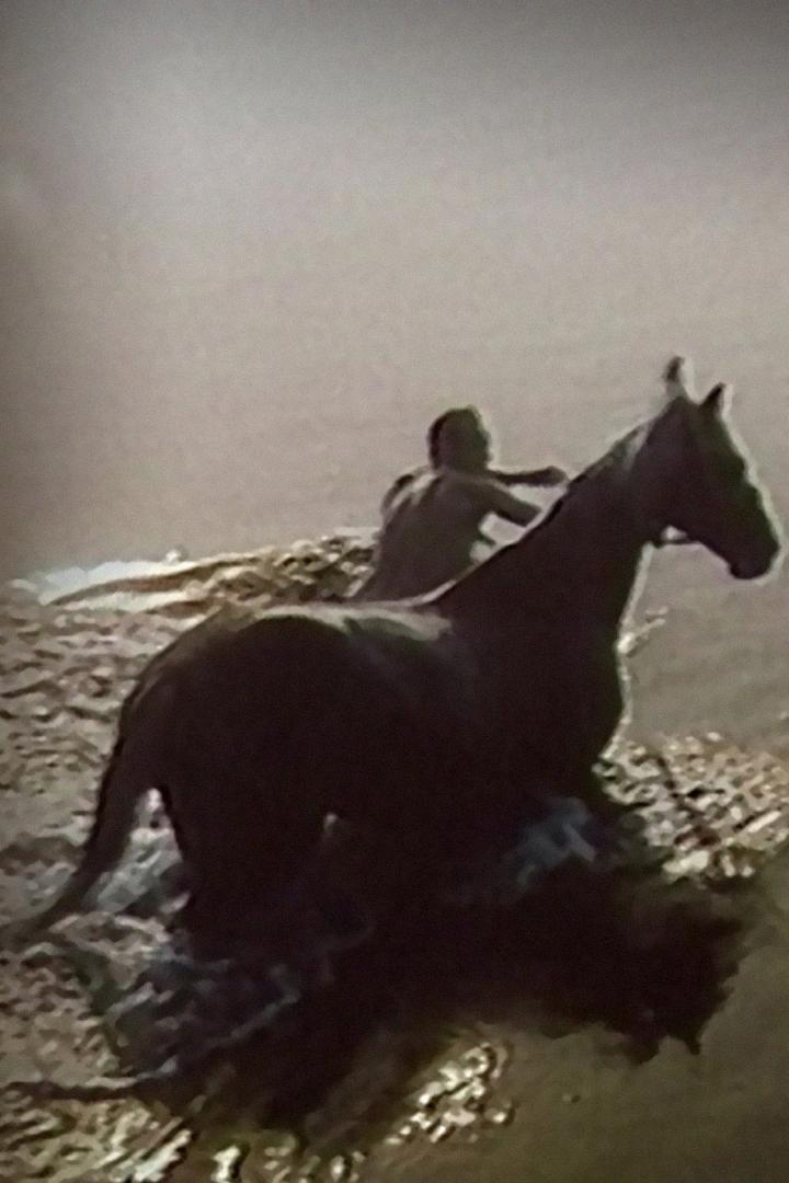 Высокая кровь (vysokaja-krov) Фильм 1988