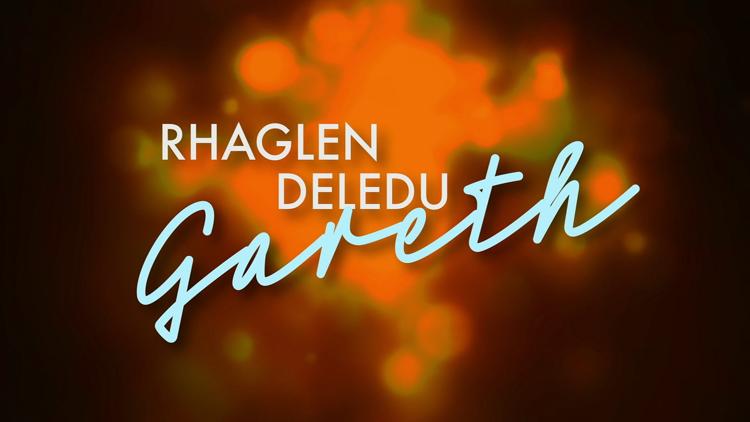 Постер Rhaglen Deledu Gareth