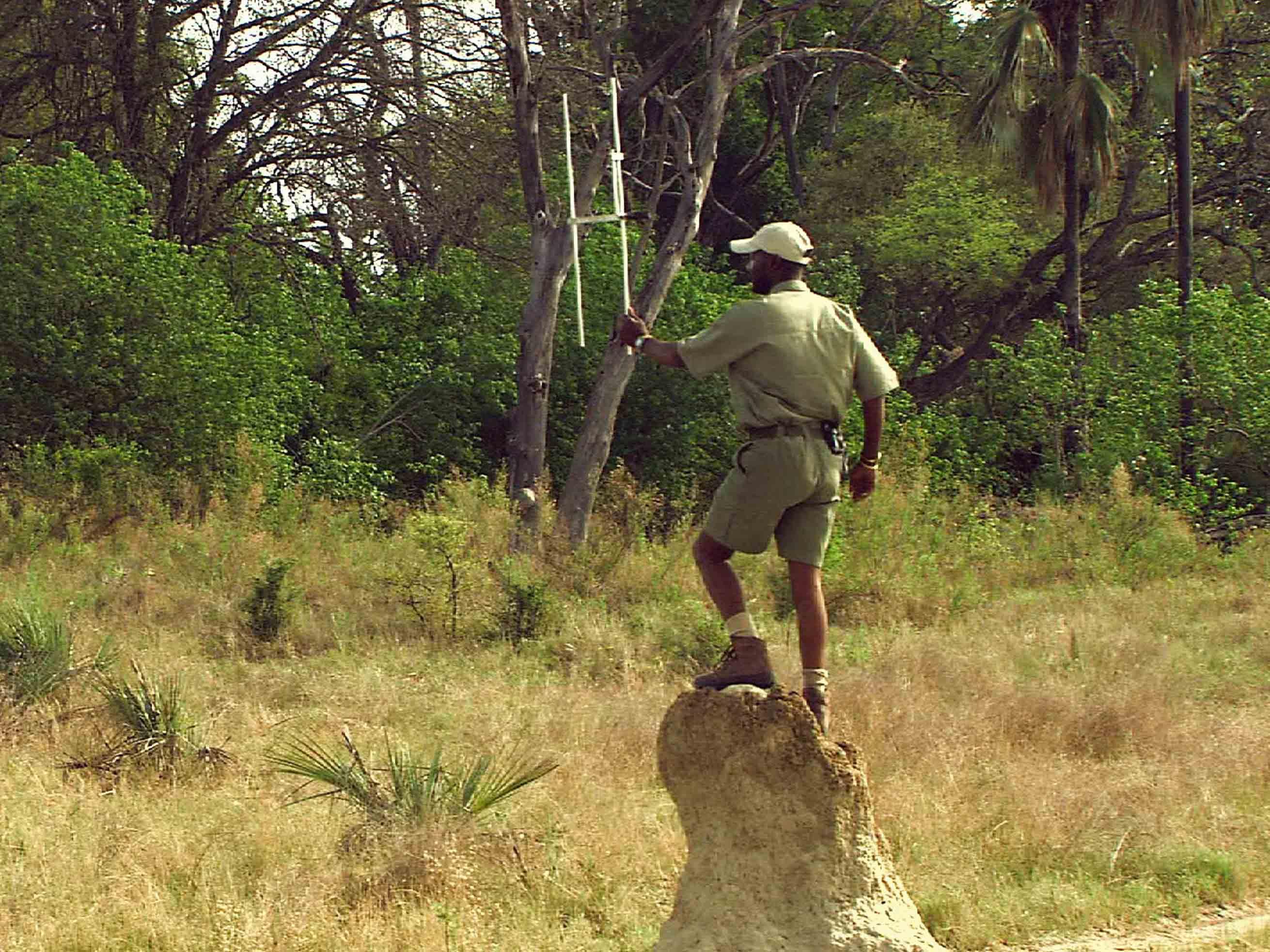 Биоразнообразие под угрозой: как его спасти? (bioraznoobrazie-pod-ugrozoj-kak-ego-spasti) Документальный фильм