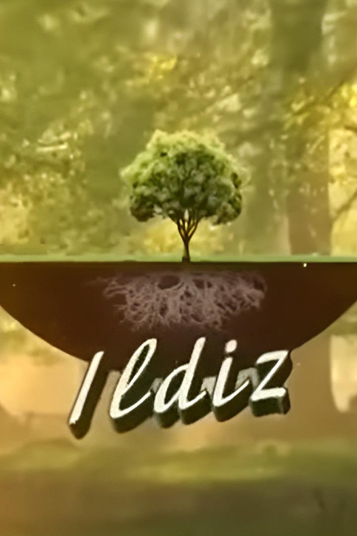 Ildiz (ildiz) Другое