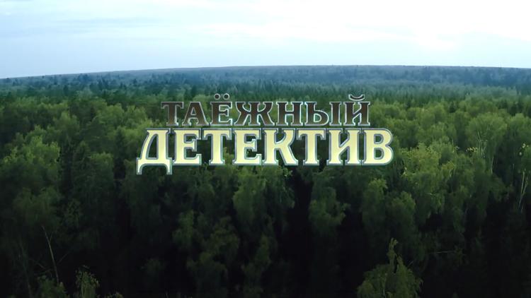 Постер Таёжный детектив. Пришелец