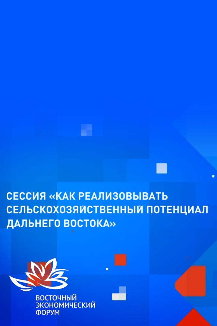 ВЭФ-2024. Сессия «Как реализовывать сельскохозяйственный потенциал Дальнего Востока» (vef-2024-sessija-kak-realizovyvat-selskohozjajstvennyj-potentsial-dalnego-vostoka) Другое
