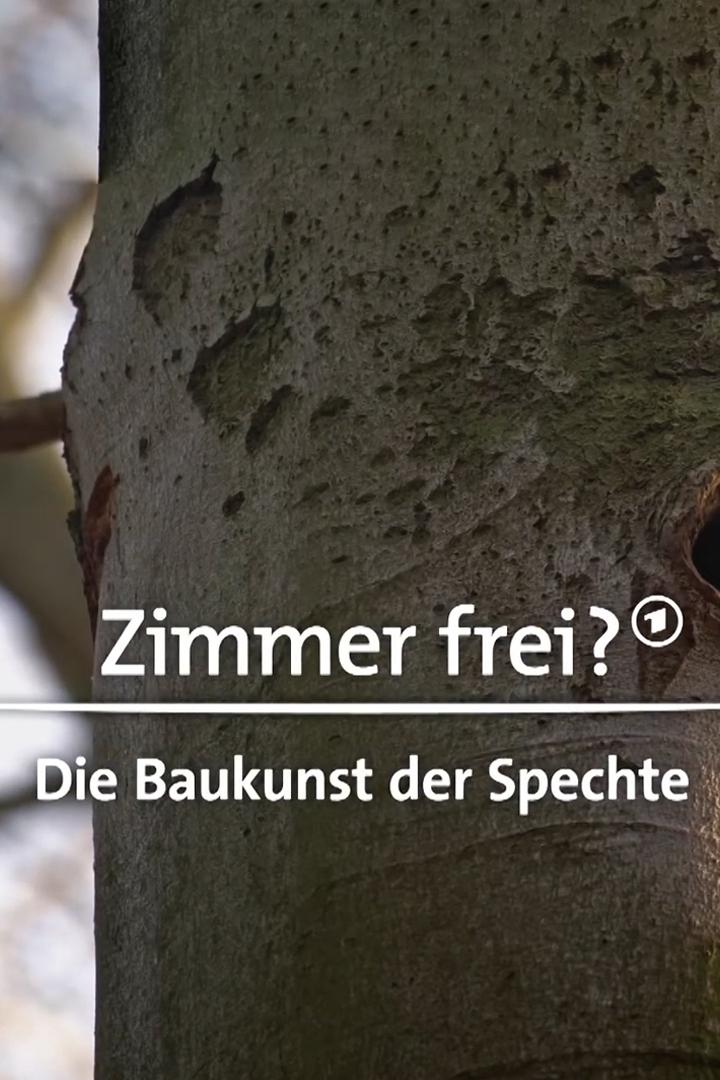 Zimmer frei? - Die Baukunst der Spechte (zimmer-frei-die-baukunst-der-spechte) Документальный фильм