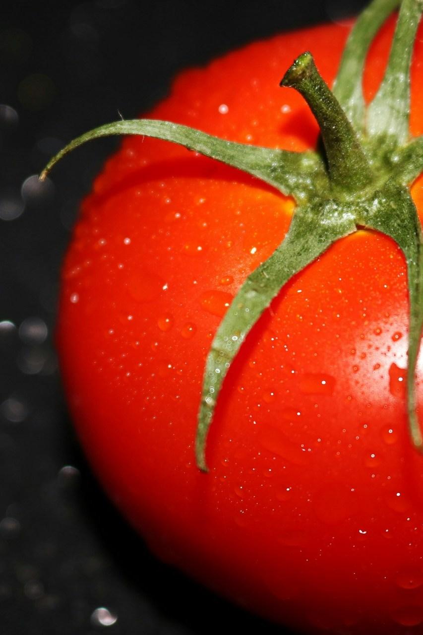Кетчуп (ketchup) Досуг, хобби