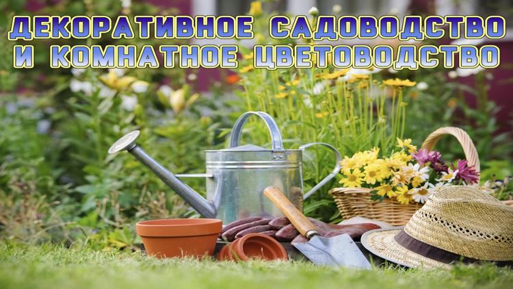 Постер Декоративное садоводство и комнатное цветоводство