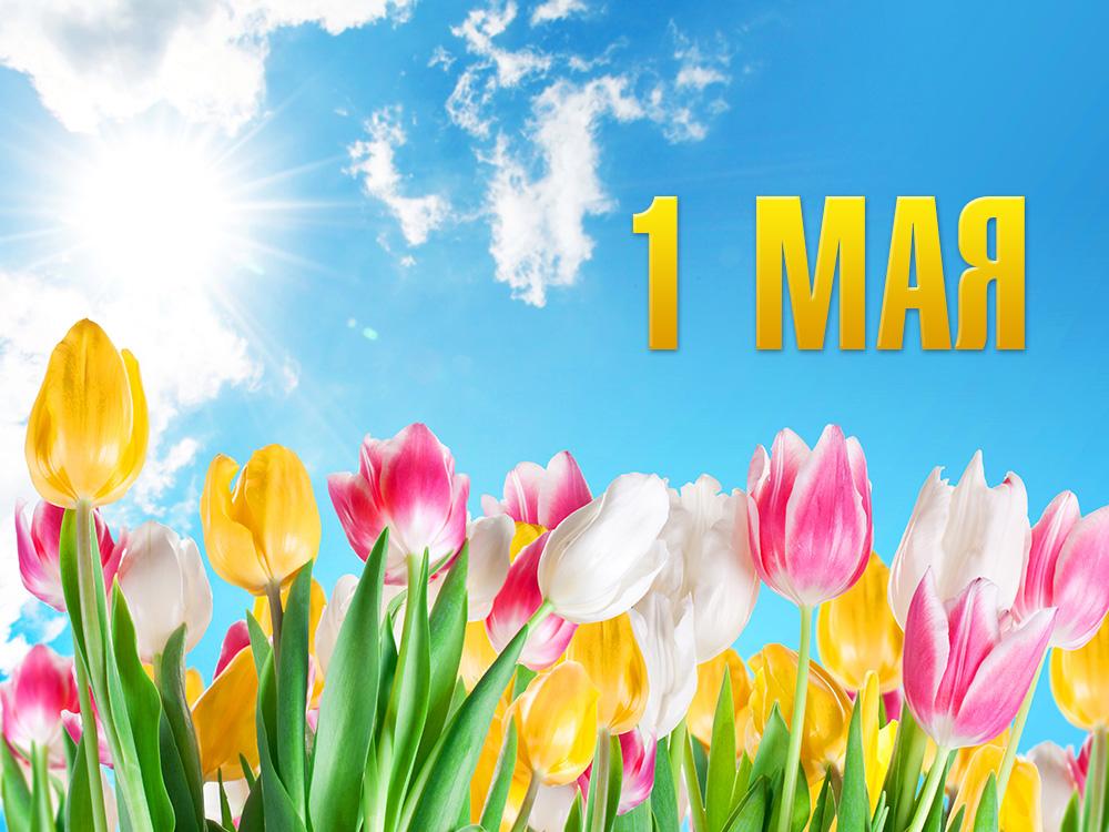1 мая (1-maja) Досуг, хобби