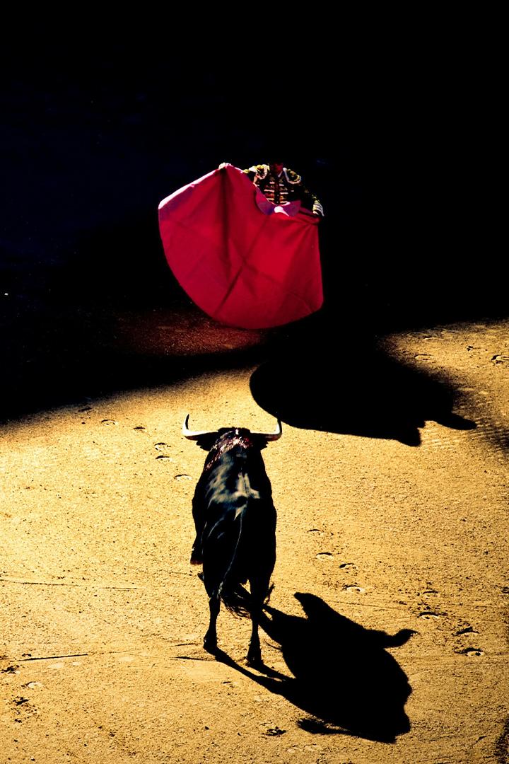 Toros. Novillada desde San Agustín de Guadalix (toros-novillada-desde-san-agustn-de-guadalix) Досуг, хобби