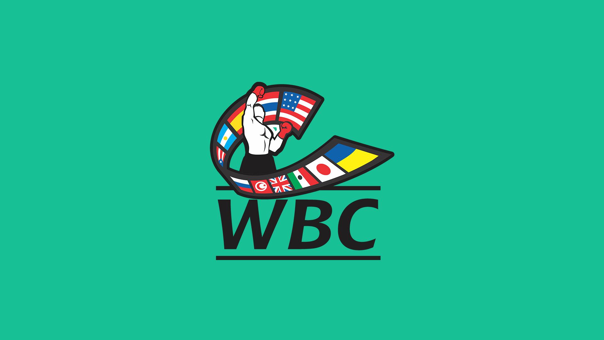 Бокс. Boxing Jungle 2 в Киеве (boks-boxing-jungle-2-v-kieve) Спорт