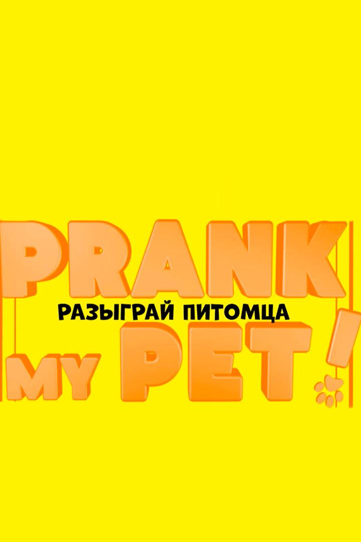Разыграй питомца (razygraj-pitomtsa) Досуг, хобби