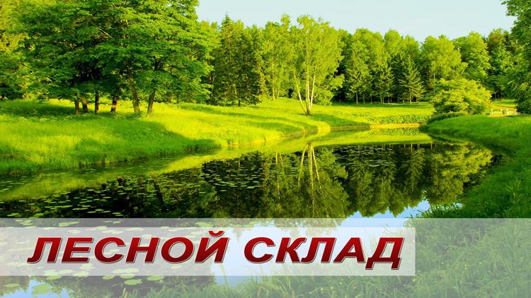 Постер Лесной склад