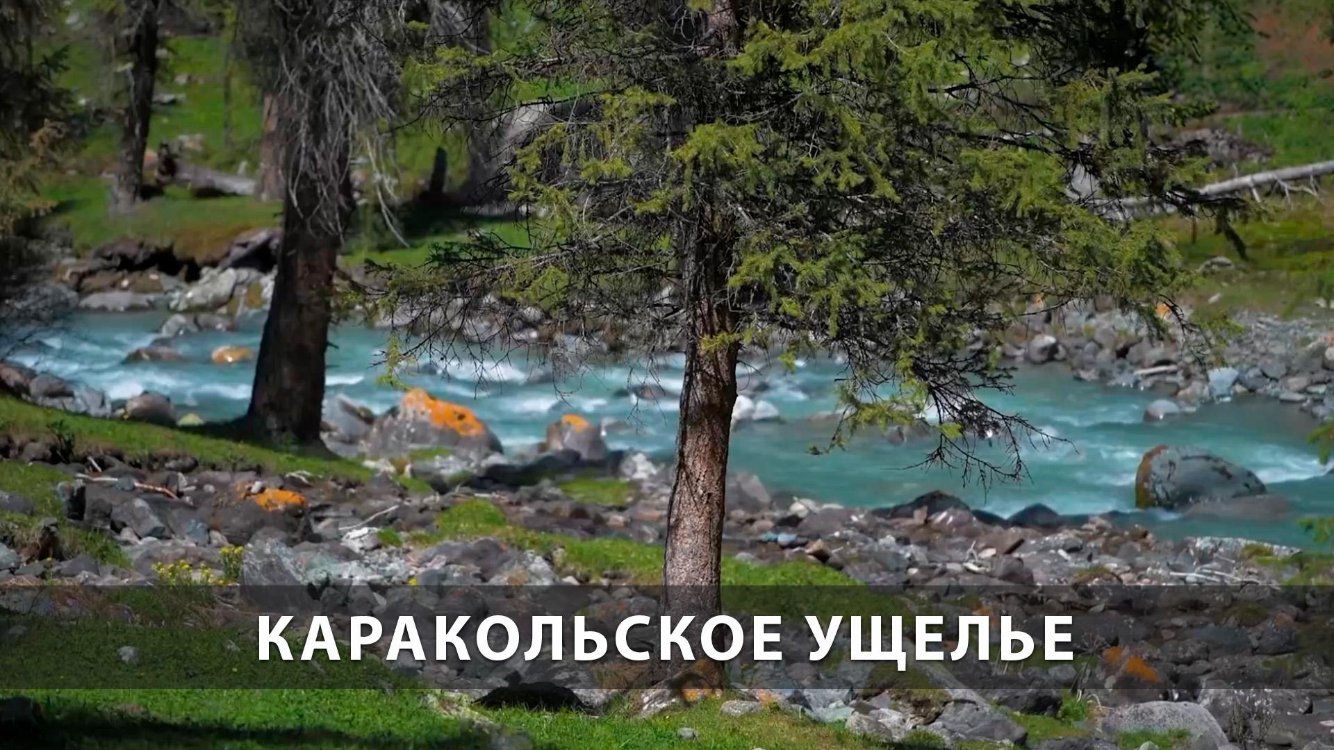 Каракольское ущелье (karakolskoe-uschele) Досуг, хобби