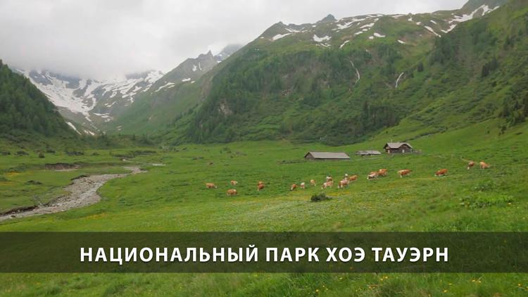 Постер Национальный парк Хоэ Тауэрн