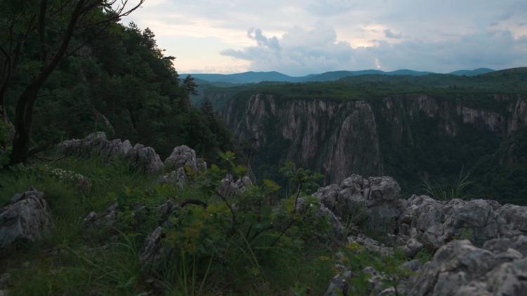 Постер Гроза Сербия