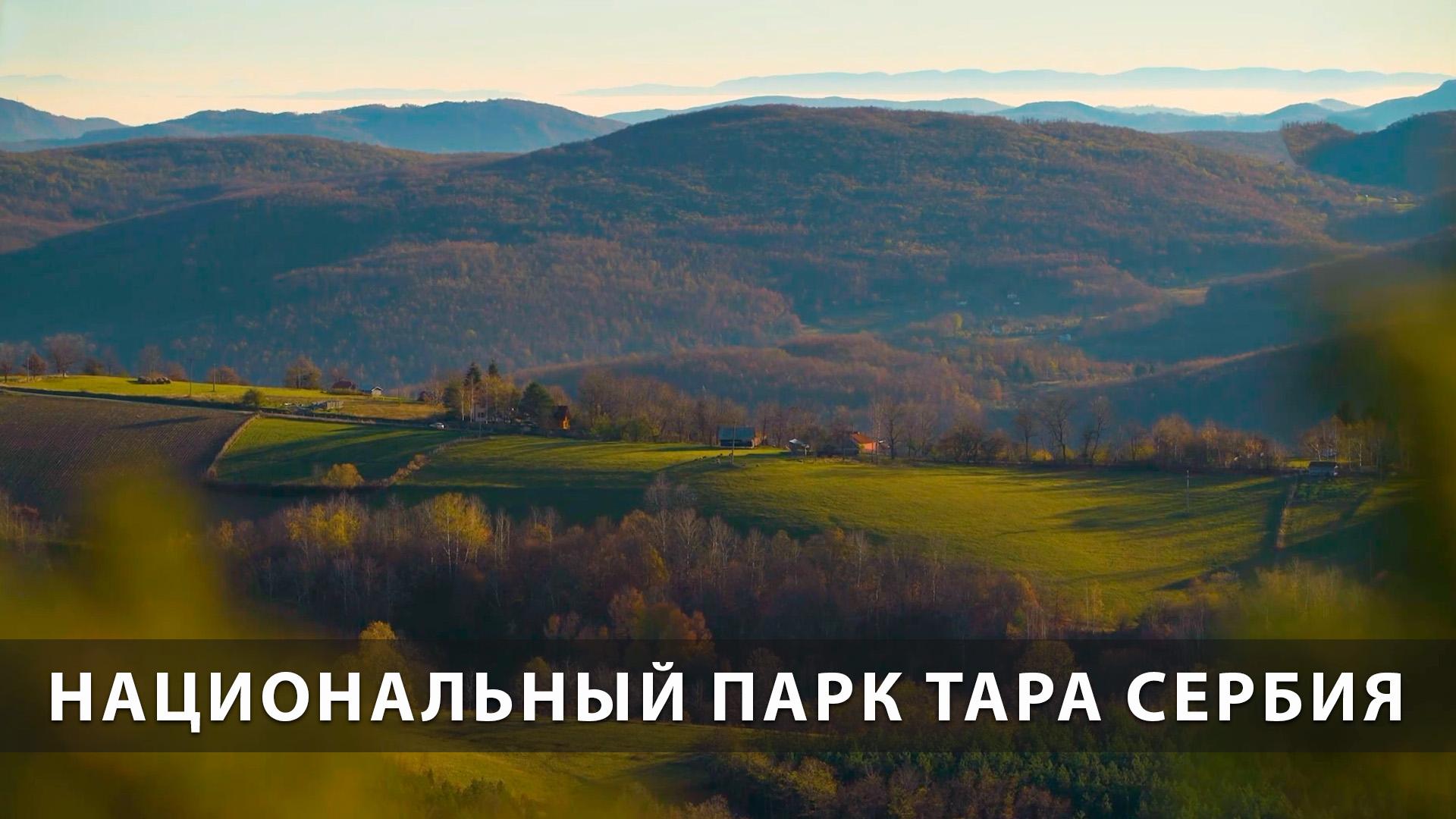 Национальный парк Тара Сербия (natsionalnyj-park-tara-serbija) Досуг, хобби