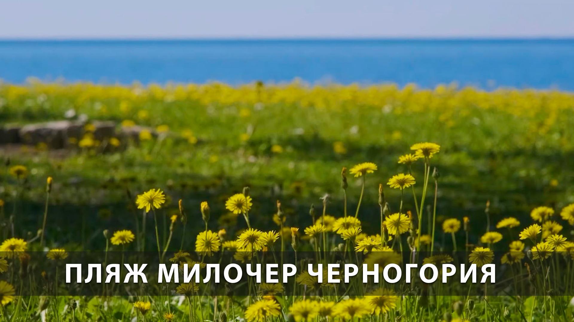 Пляж Милочер Черногория (pljazh-milocher-chernogorija) Досуг, хобби