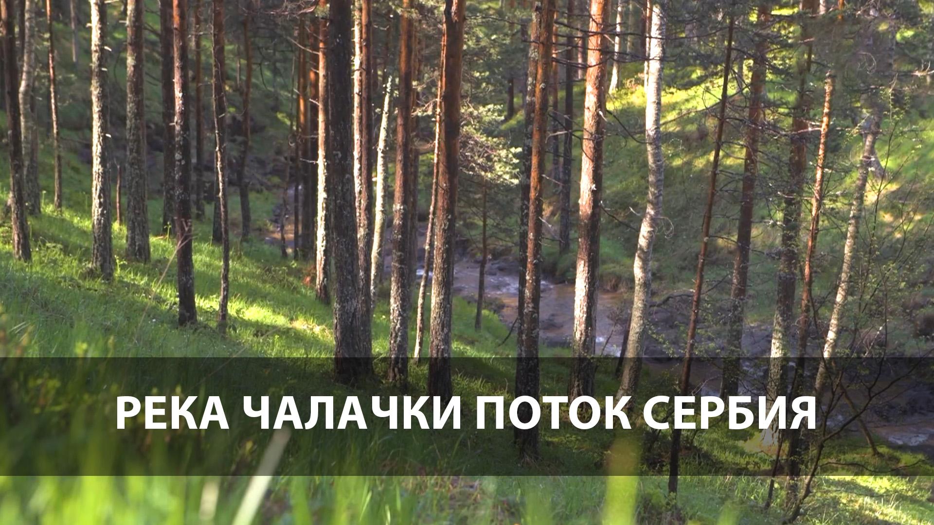 Река Чалачки поток Сербия (reka-chalachki-potok-serbija) Досуг, хобби