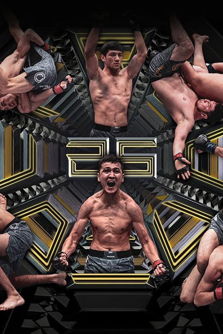 Шоу Octagon 25 (MMA, профессионалы) (shou-octagon-25-mma-professionaly) Досуг, хобби