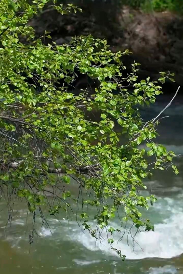 Тургеньское ущелье (turgenskoe-uschele) Досуг, хобби