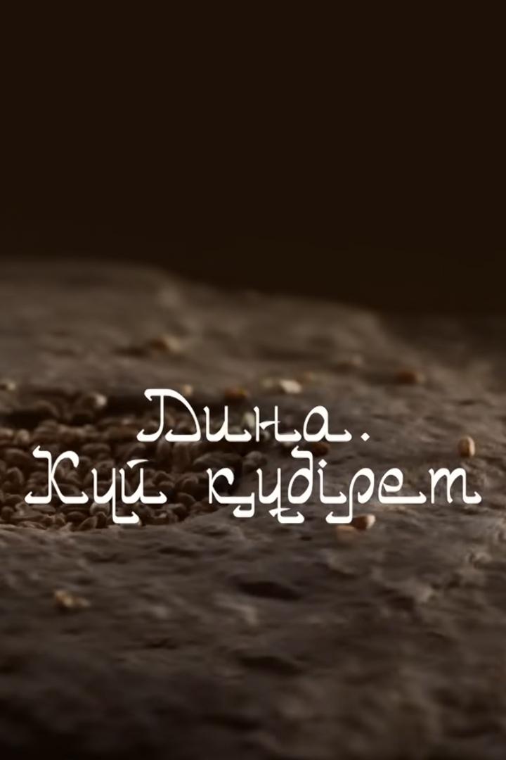 Дина. Күй құдыреті (dina-kj-dyret) Сериал 2022