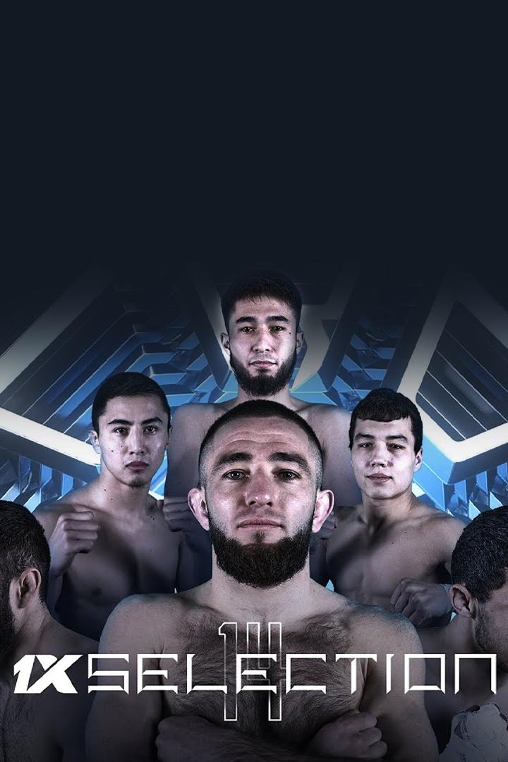 Шоу Octagon Selection 14 (MMA, профессионалы) (shou-octagon-selection-14-mma-professionaly) Досуг, хобби