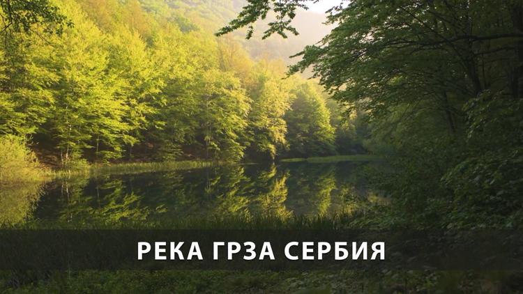 Постер Река Грза Сербия