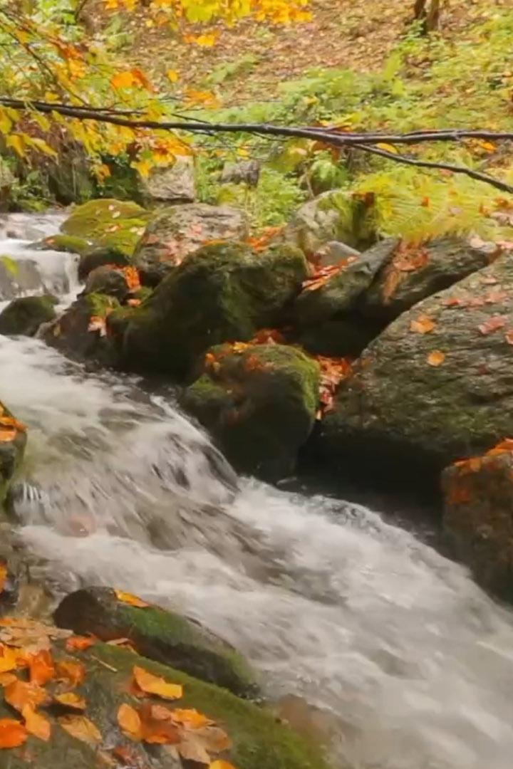 Река Песио (reka-pesio) Досуг, хобби