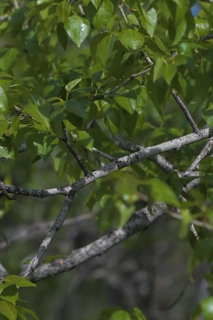 Экотуризм (ekoturizm) Познавательное