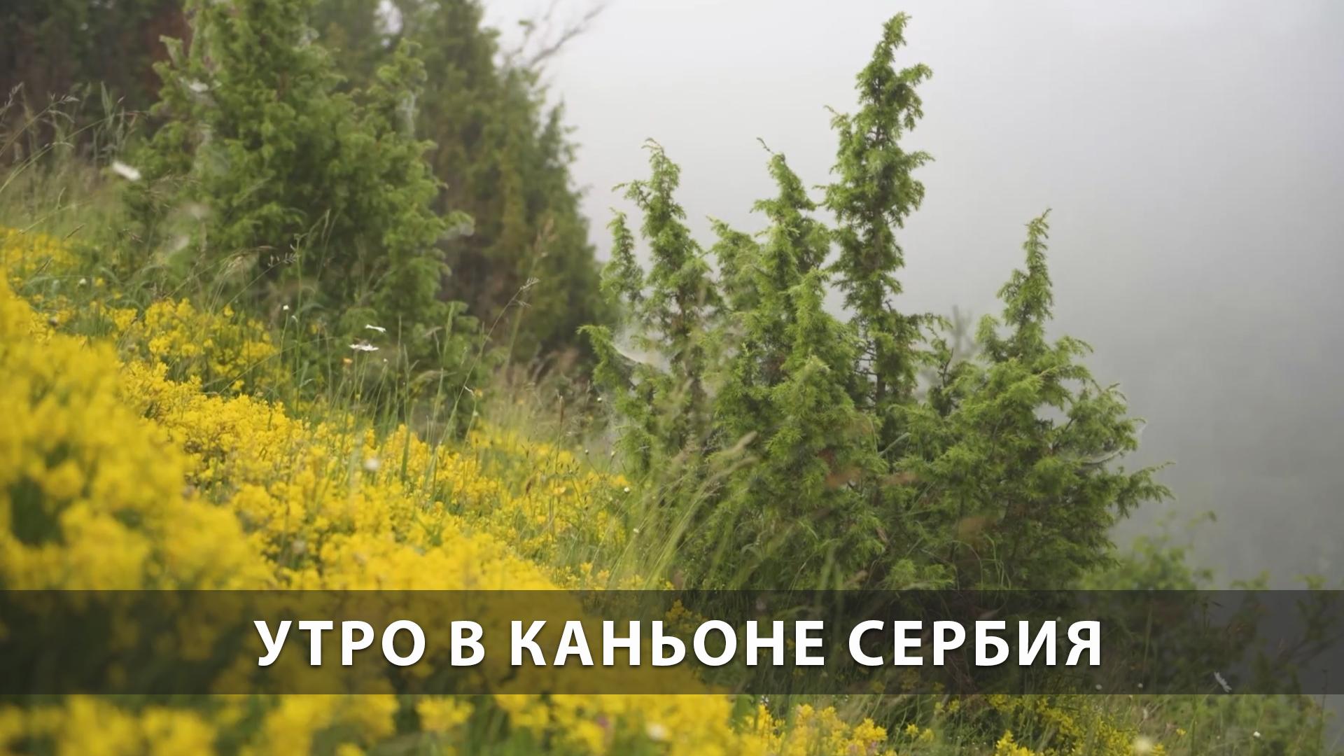 Утро в каньоне Сербия (utro-v-kanone-serbija) Досуг, хобби