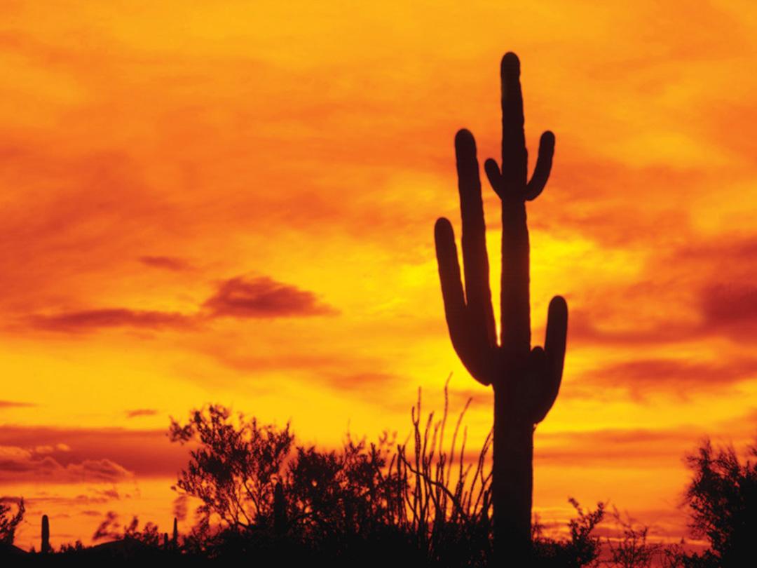 Мексика от Первого лица (meksika-ot-pervogo-litsa) Познавательное