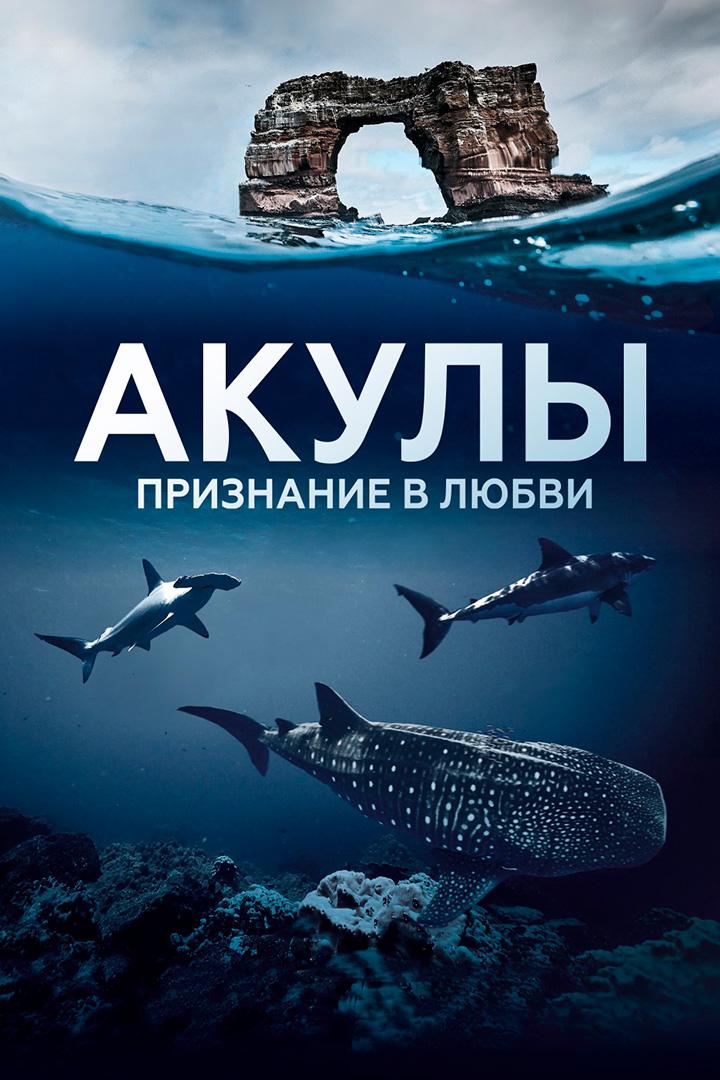 Акулы. Признание в любви (akuly-priznanie-v-ljubvi) Документальный сериал